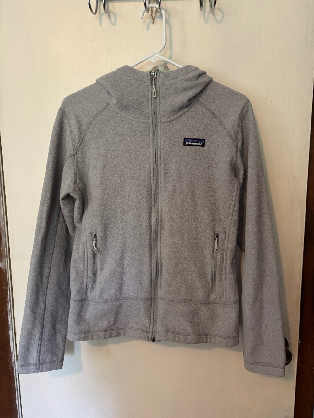 Patagonia Fleece Jacket with Hood